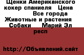 Щенки Американского кокер спаниеля › Цена ­ 15 000 - Все города Животные и растения » Собаки   . Марий Эл респ.